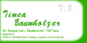 timea baumholzer business card